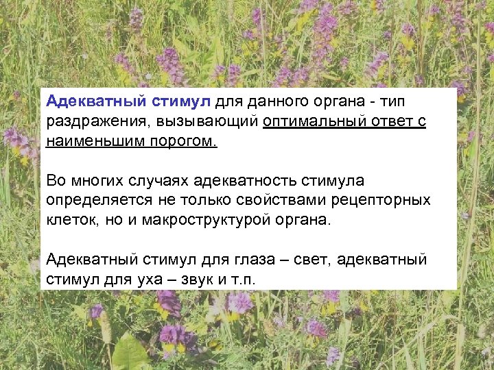 Адекватный стимул для данного органа - тип раздражения, вызывающий оптимальный ответ с наименьшим порогом.