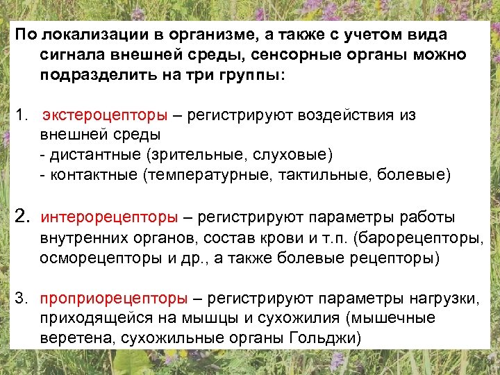 По локализации в организме, а также с учетом вида сигнала внешней среды, сенсорные органы