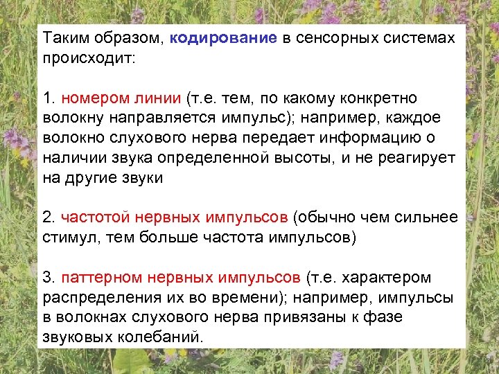 Таким образом, кодирование в сенсорных системах происходит: 1. номером линии (т. е. тем, по