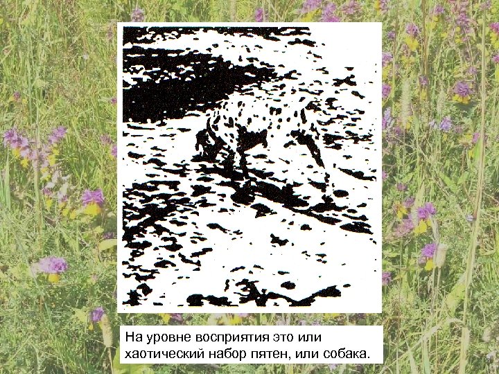 На уровне восприятия это или хаотический набор пятен, или собака. 