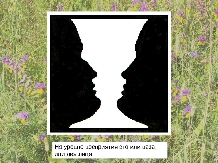 На уровне восприятия это или ваза, или два лица. 