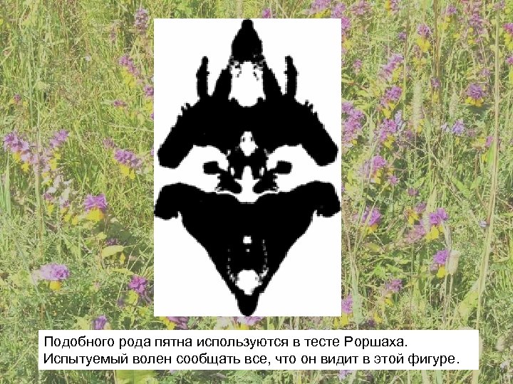 Подобного рода пятна используются в тесте Роршаха. Испытуемый волен сообщать все, что он видит