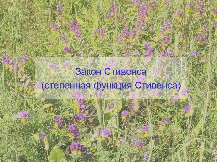 Закон Стивенса (степенная функция Стивенса) 