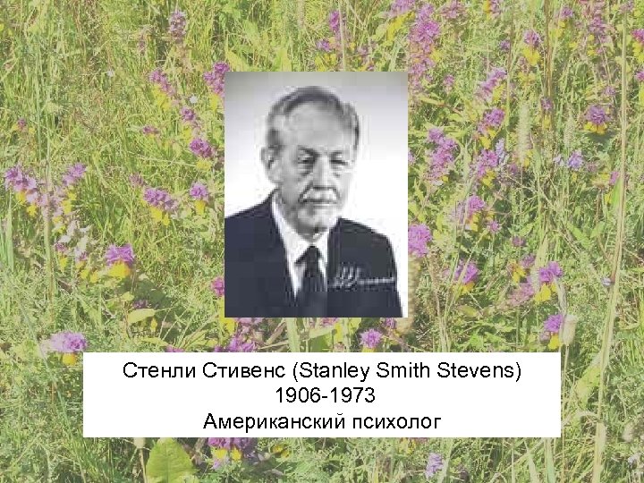 Стенли Стивенс (Stanley Smith Stevens) 1906 -1973 Американский психолог 