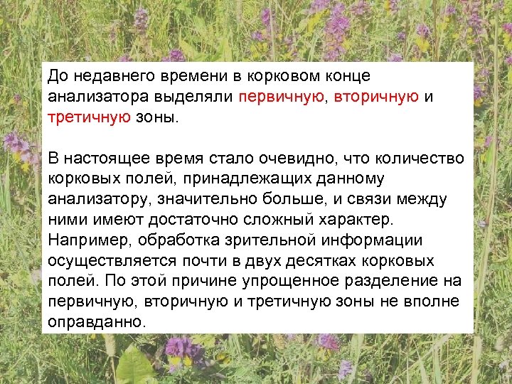 До недавнего времени в корковом конце анализатора выделяли первичную, вторичную и третичную зоны. В