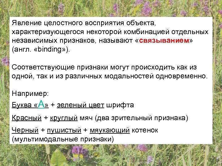Явление целостного восприятия объекта, характеризующегося некоторой комбинацией отдельных независимых признаков, называют «связыванием» (англ. «binding»