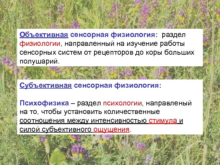 Объективная сенсорная физиология: раздел физиологии, направленный на изучение работы сенсорных систем от рецепторов до