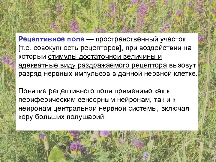 Рецептивное поле — пространственный участок [т. е. совокупность рецепторов], при воздействии на который стимулы