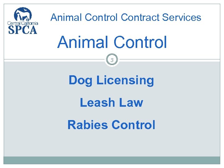 Animal Control Contract Services Animal Control 3 Dog Licensing Leash Law Rabies Control 