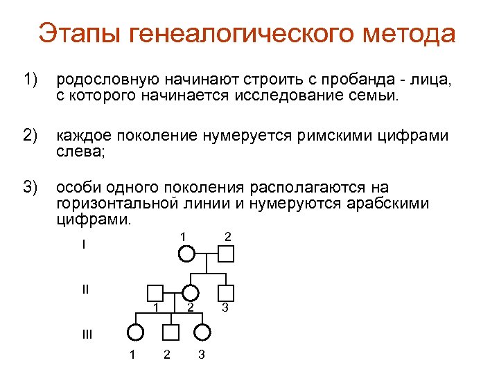 Этапы генеалогического метода 1) родословную начинают строить с пробанда - лица, с которого начинается