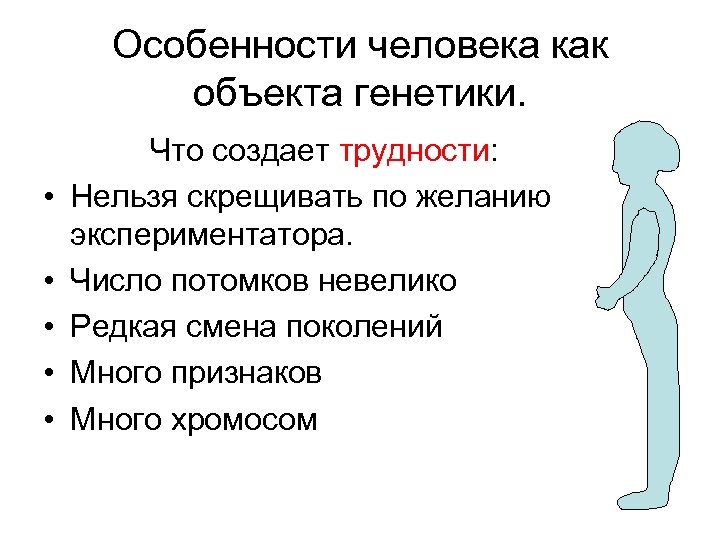 Особенности человека как объекта генетики. • • • Что создает трудности: Нельзя скрещивать по