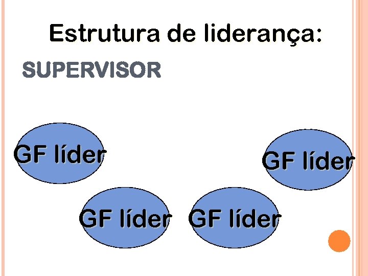 Estrutura de liderança: SUPERVISOR GF líder 