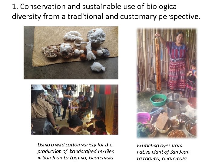 1. Conservation and sustainable use of biological diversity from a traditional and customary perspective.