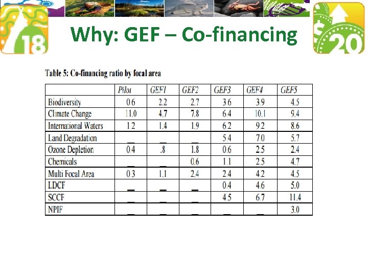 Why: GEF – Co-financing 