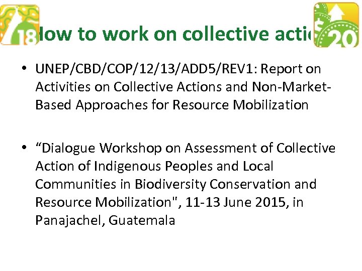How to work on collective action • UNEP/CBD/COP/12/13/ADD 5/REV 1: Report on Activities on