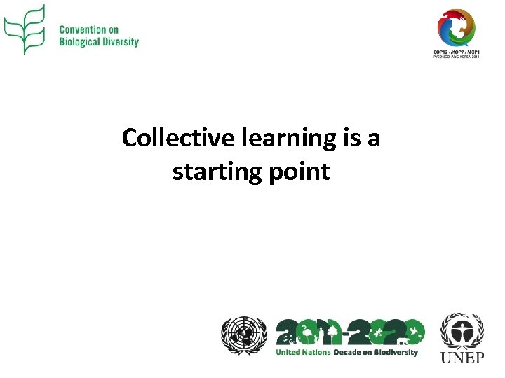 Collective learning is a starting point 