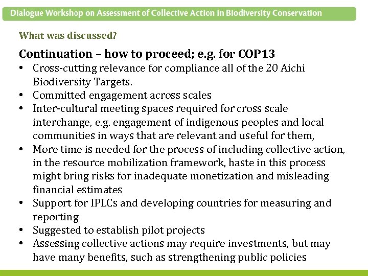 What was discussed? Continuation – how to proceed; e. g. for COP 13 •