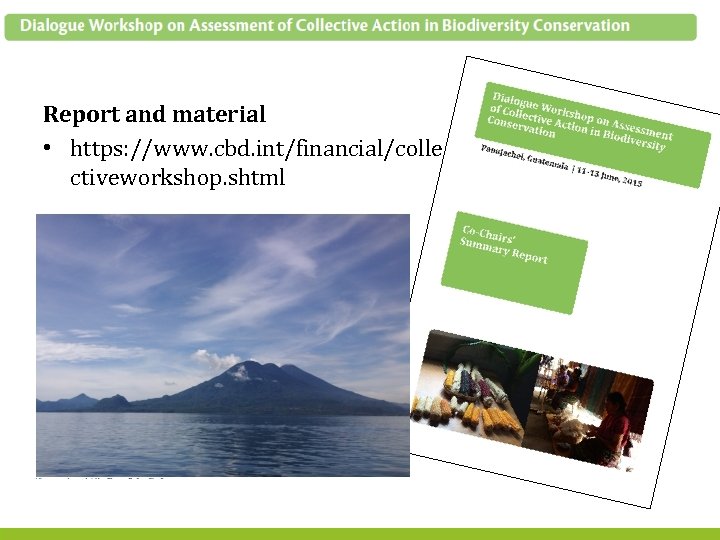 Report and material • https: //www. cbd. int/financial/colle ctiveworkshop. shtml 