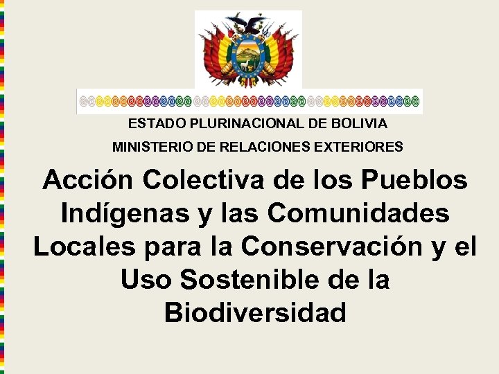 ESTADO PLURINACIONAL DE BOLIVIA MINISTERIO DE RELACIONES EXTERIORES Acción Colectiva de los Pueblos Indígenas