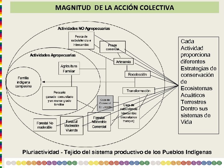 MAGNITUD DE LA ACCIÓN COLECTIVA Cada Actividad proporciona diferentes Estrategias de conservación de Ecosistemas