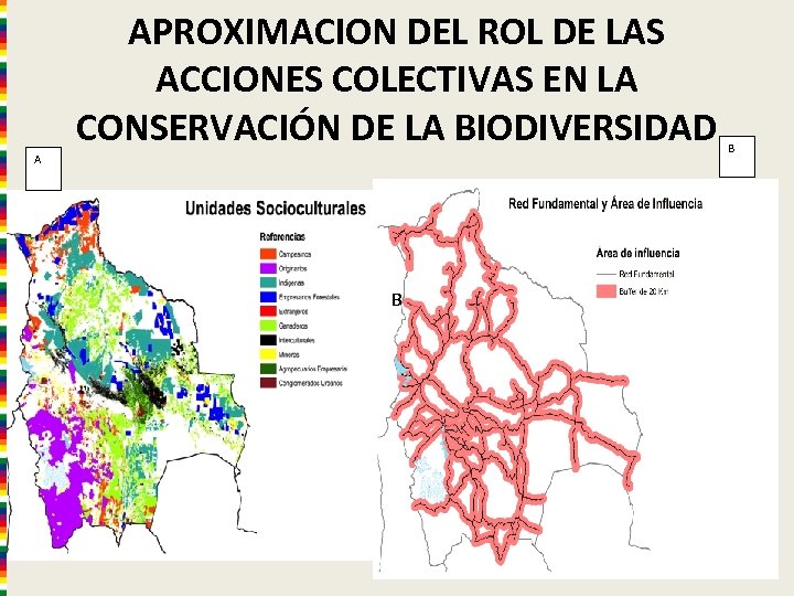 APROXIMACION DEL ROL DE LAS ACCIONES COLECTIVAS EN LA CONSERVACIÓN DE LA BIODIVERSIDAD B