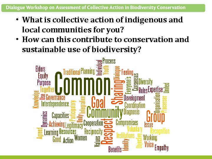  • What is collective action of indigenous and local communities for you? •
