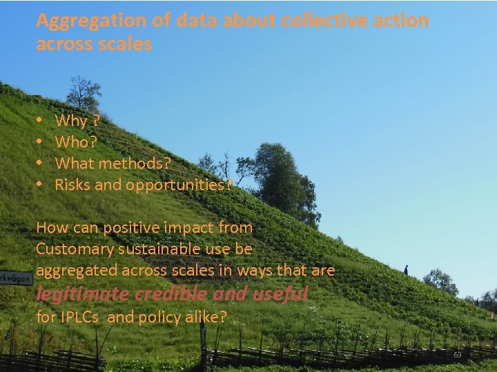 Aggregation of data about collective action across scales • • Why ? Who? What