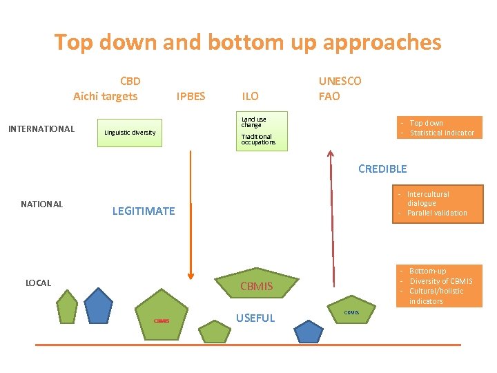 Top down and bottom up approaches CBD Aichi targets IPBES ILO INTERNATIONAL Linguistic diversity