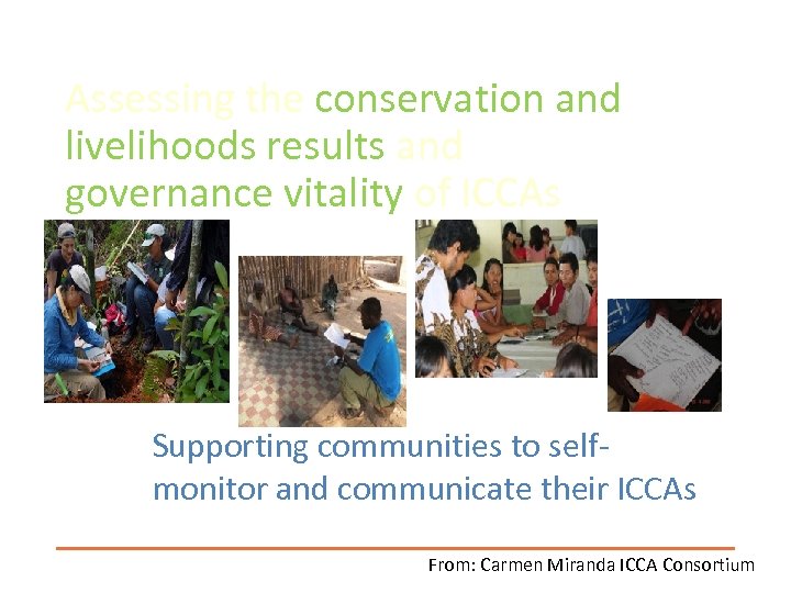 Assessing the conservation and livelihoods results and governance vitality of ICCAs Supporting communities to