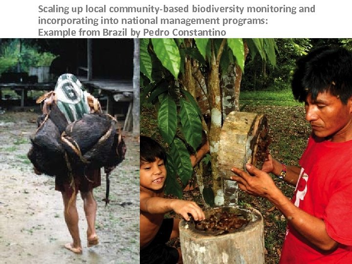 Scaling up local community-based biodiversity monitoring and incorporating into national management programs: Example from
