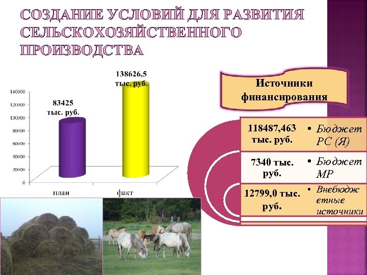 СОЗДАНИЕ УСЛОВИЙ ДЛЯ РАЗВИТИЯ СЕЛЬСКОХОЗЯЙСТВЕННОГО ПРОИЗВОДСТВА Источники финансирования 118487, 463 • Бюджет тыс. руб.