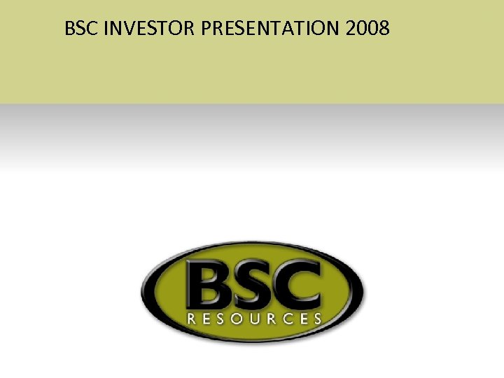 BSC INVESTOR PRESENTATION 2008 