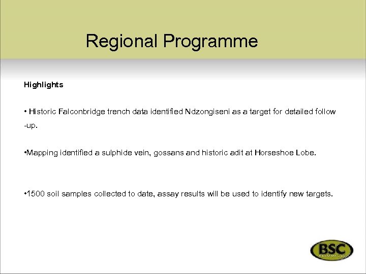 Regional Programme Highlights • Historic Falconbridge trench data identified Ndzongiseni as a target for