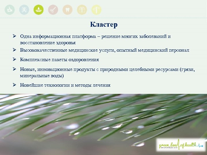 Кластер Ø Одна информационная платформа – решение многих заболеваний и восстановление здоровья Ø Высококачественные