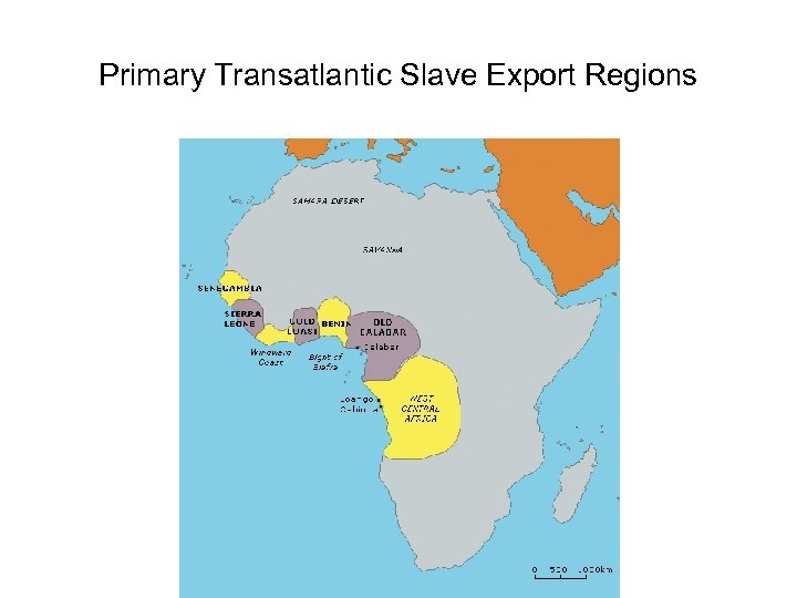 Primary Transatlantic Slave Export Regions 