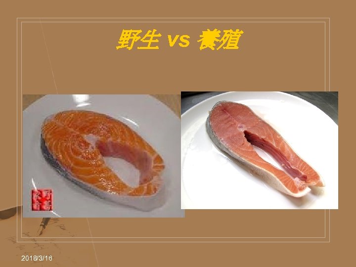 野生 vs 養殖 2018/3/16 