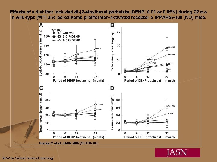 Effects of a diet that included di-(2 -ethylhexyl)phthalate (DEHP; 0. 01 or 0. 05%)