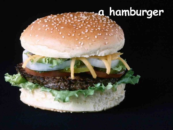 a hamburger 