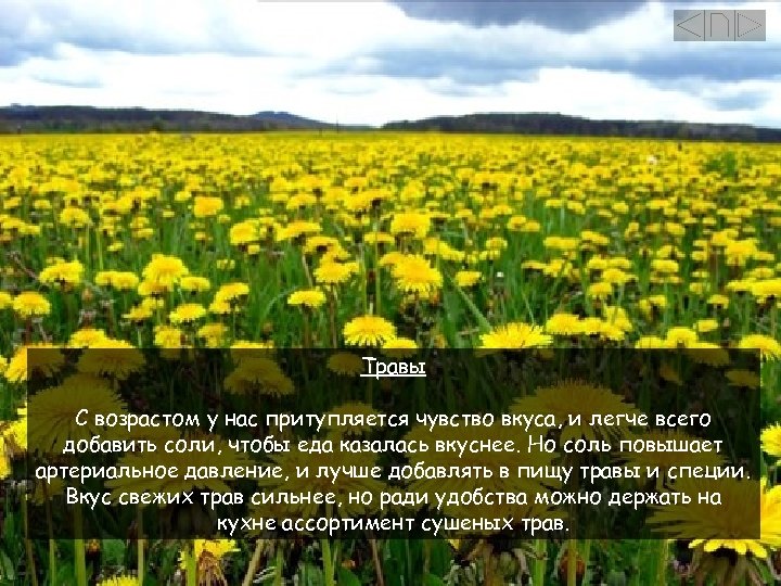 Травы С возрастом у нас притупляется чувство вкуса, и легче всего добавить соли, чтобы