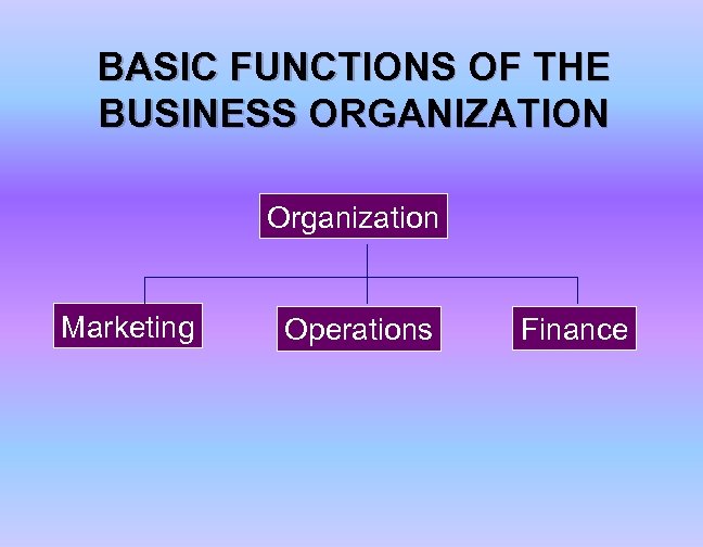 BASIC FUNCTIONS OF THE BUSINESS ORGANIZATION Organization Marketing Operations Finance 