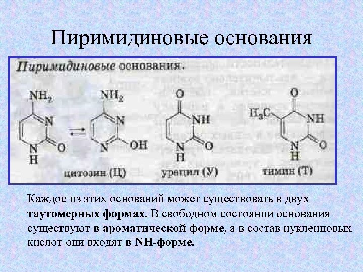 Азотсодержащие гетероциклические соединения презентация 10 класс