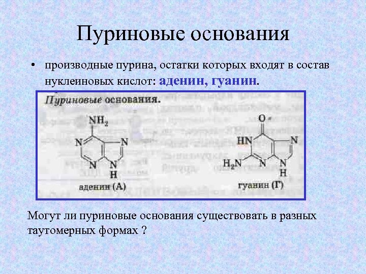 В состав оснований входят