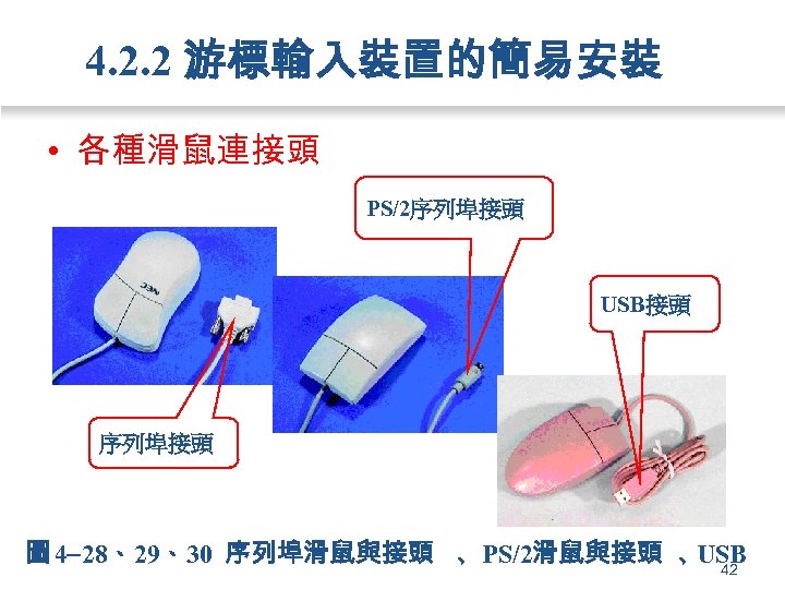 4. 2. 2 游標輸入裝置的簡易安裝 • 各種滑鼠連接頭 PS/2序列埠接頭 USB接頭 序列埠接頭 圖 4 28、29、30 序列埠滑鼠與接頭 、PS/2滑鼠與接頭