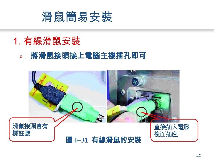 滑鼠簡易安裝 1. 有線滑鼠安裝 Ø 將滑鼠接頭接上電腦主機插孔即可 滑鼠接頭會有 標註號 圖 4 31 有線滑鼠的安裝 直接插入電腦 後面插座 43