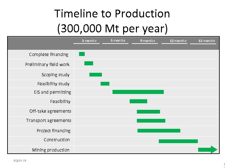 Timeline to Production (300, 000 Mt per year) 3 months 6 months 9 months