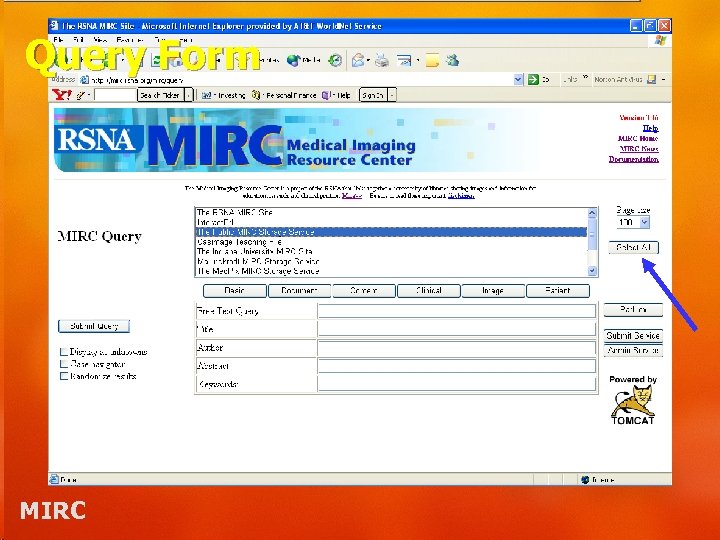 Query Form MIRC 