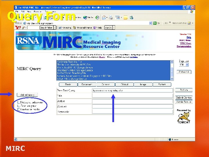 Query Form MIRC 