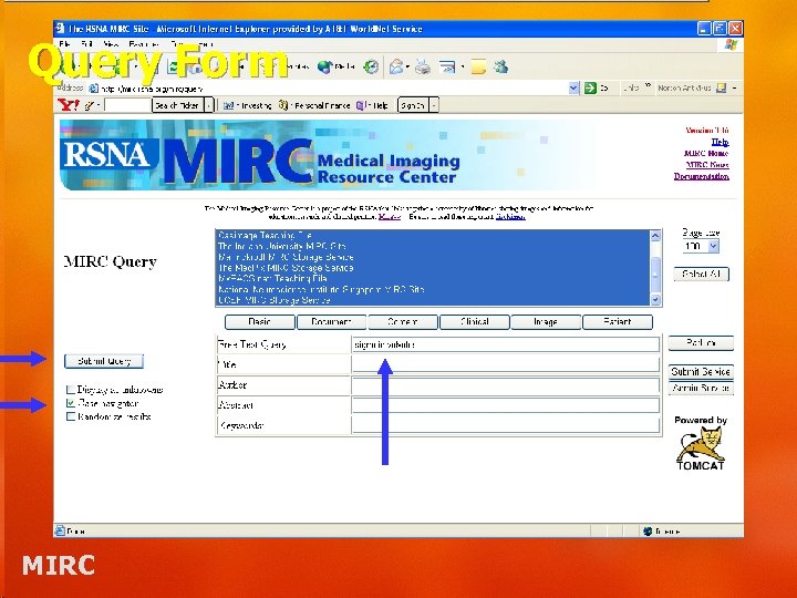 Query Form MIRC 