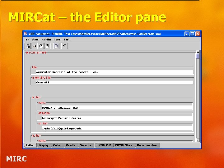 MIRCat – the Editor pane MIRC 