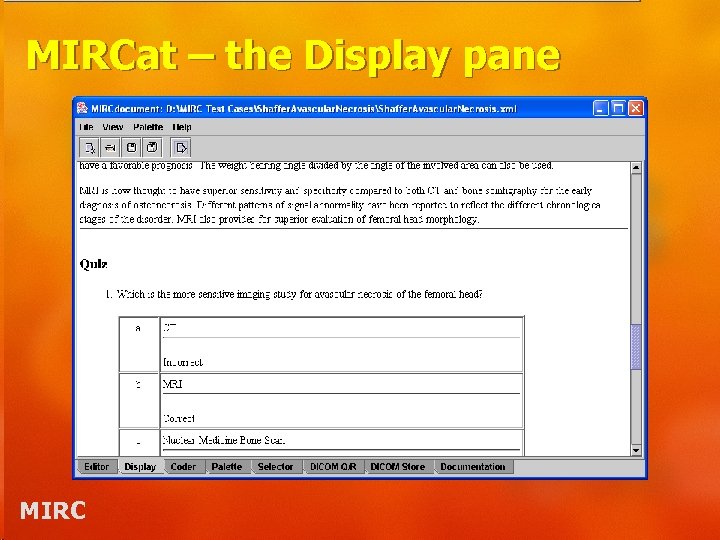 MIRCat – the Display pane MIRC 